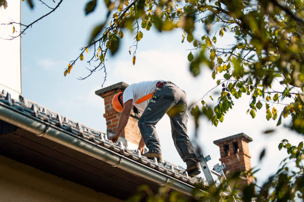 Best Roof Gutter Cleaning  in Summerset, SD